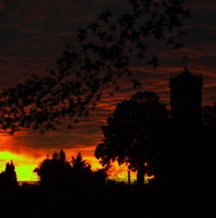 Dusk Dappled Fall