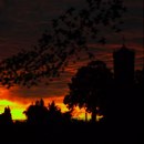 Dusk Dappled Fall